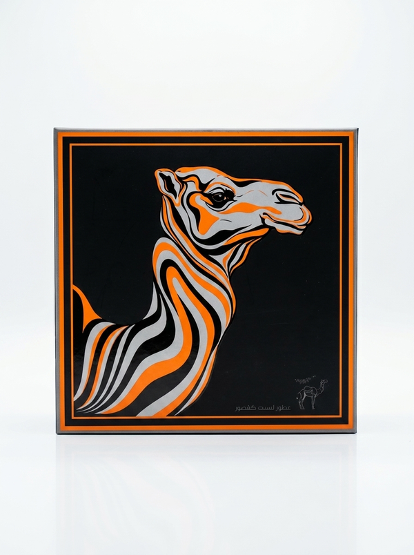 Discovery Box